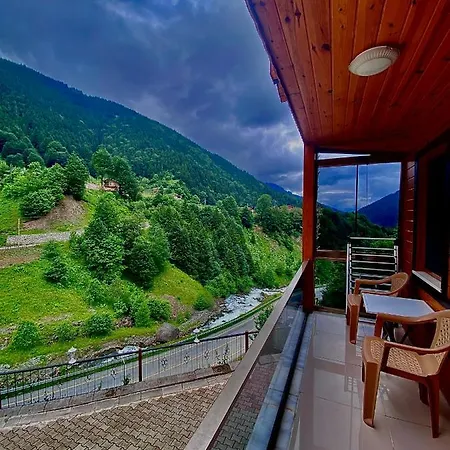 Aparthotel Grand *